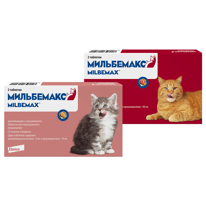 Мильбемакс для кошек - лучшие аналоги препарата