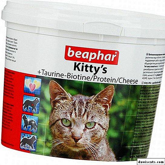 Витамины beaphar для кошек: 5 популярных видов, отзывы_ | wwwcat.ru