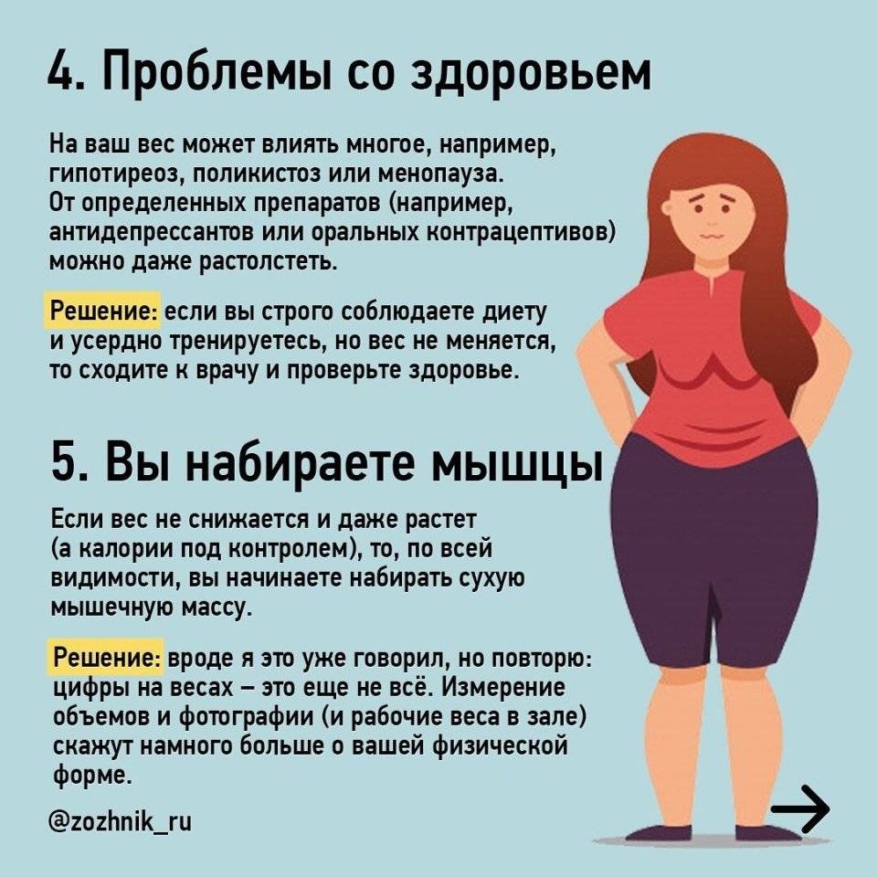 Почему кошка худеет?