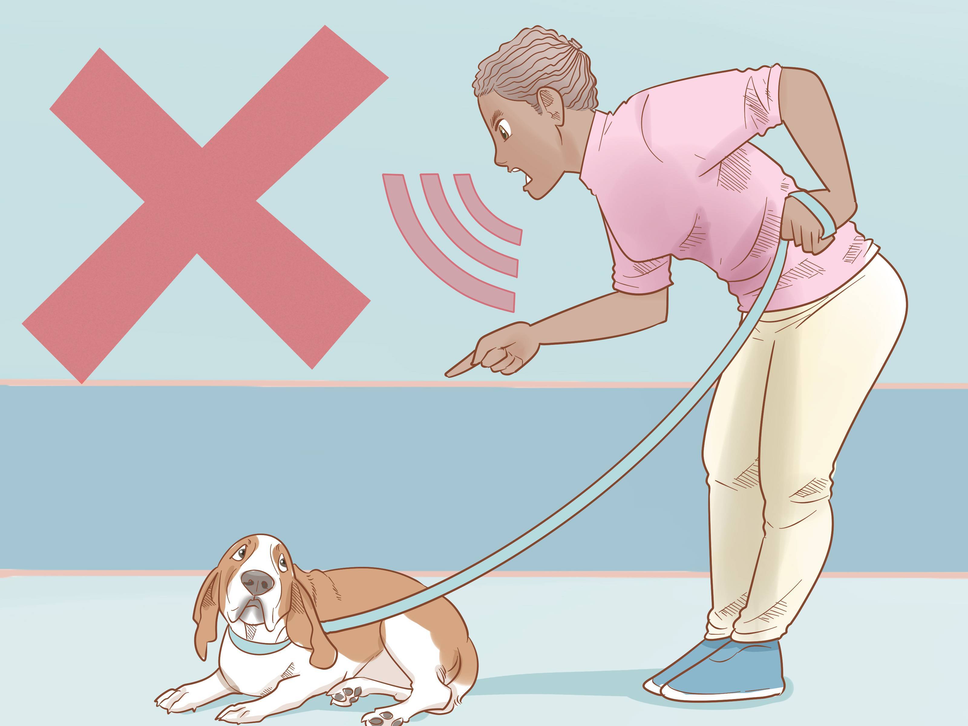 Можно ли наказывать собаку за непослушание и шалости