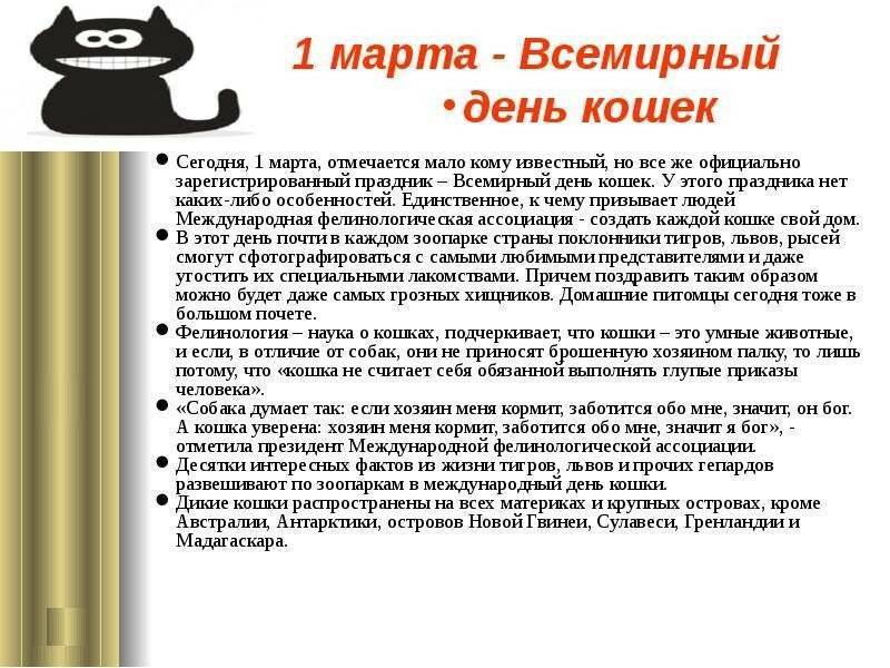 День кошек в россии 2024 год. Всемирный день кошек в России. Сегодня Всемирный день кошек.