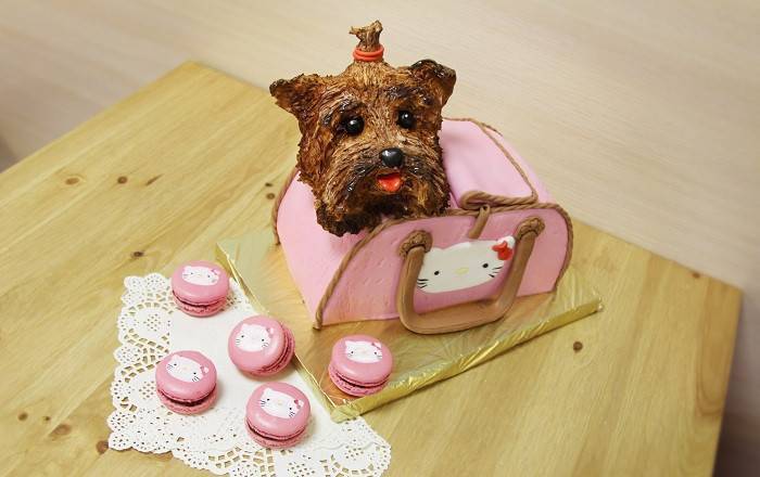 Рецепты и инструкция по приготовлению торта для собак на дни рождения - зоомир
