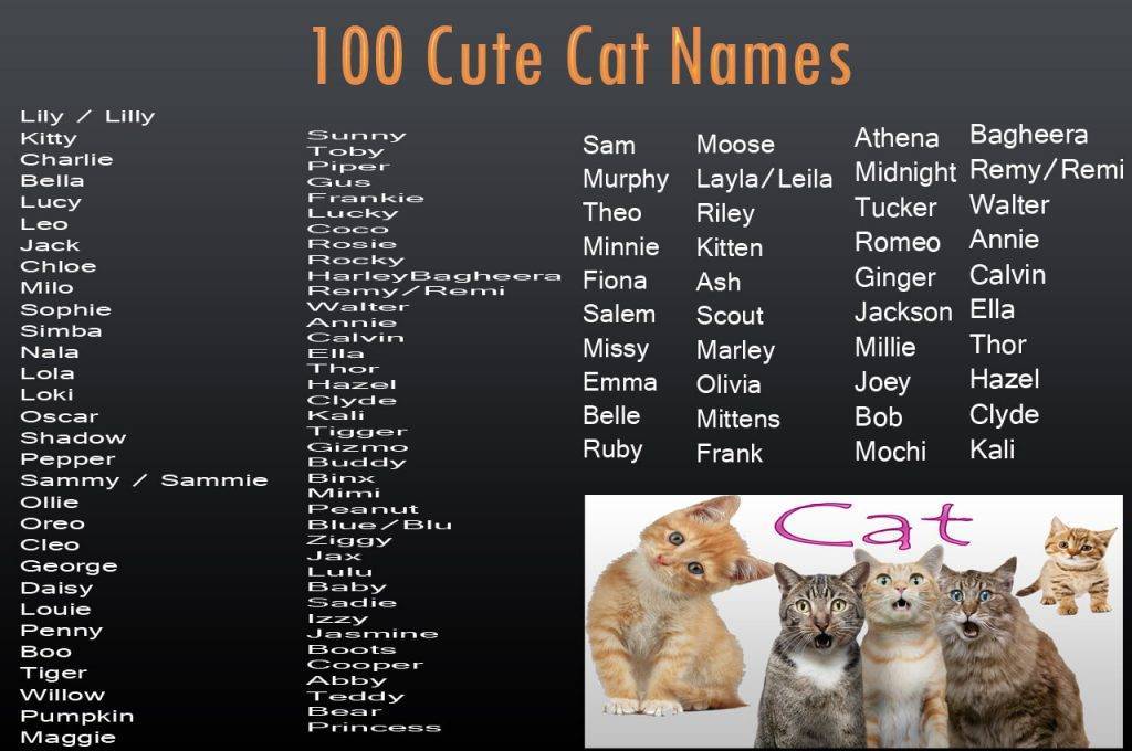 Красивые имена для кошек девочек