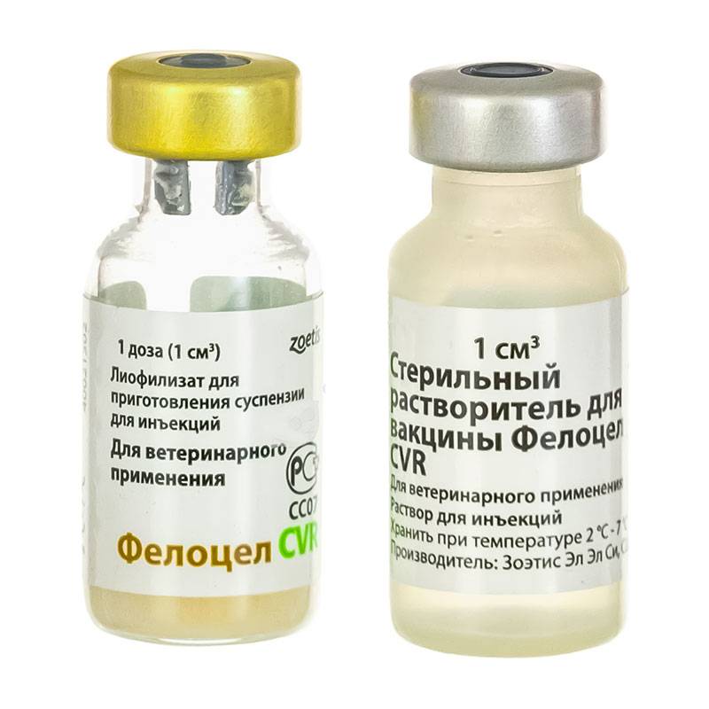 Фелоцел вакцина для кошек отзывы