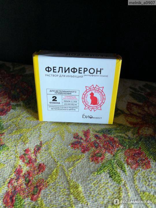 Фелиферон для котов