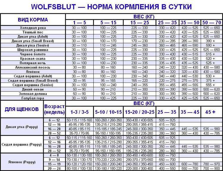 ᐉ обзор и отзывы корма для собак wolfsblut - ➡ motildazoo.ru