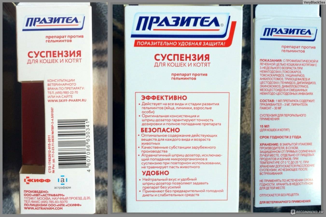 Празител для кошек и котят: инструкция по применению суспензии и таблеток, состав и дозировка