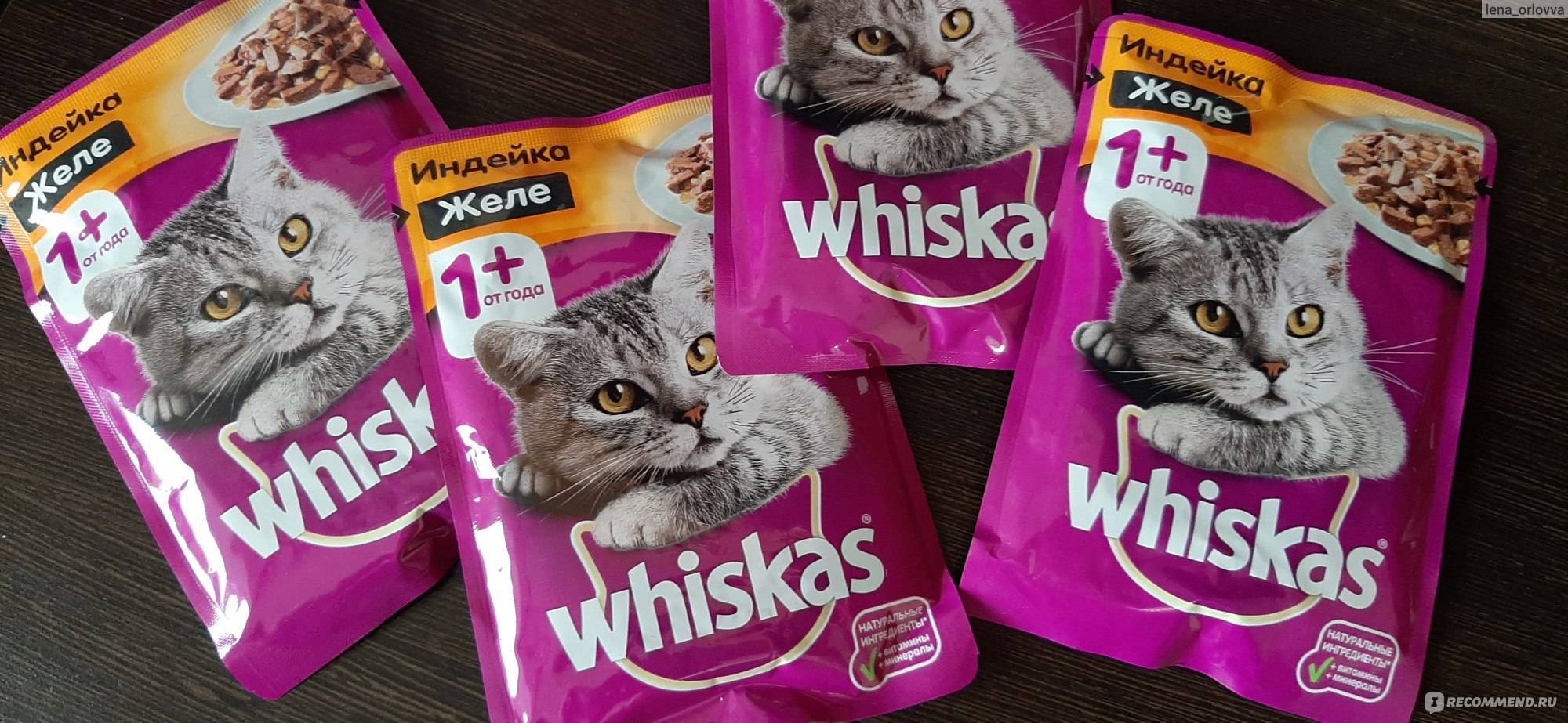 Корм для кошек вискас (whiskas): отзывы, анализ состава, ассортимент и цены