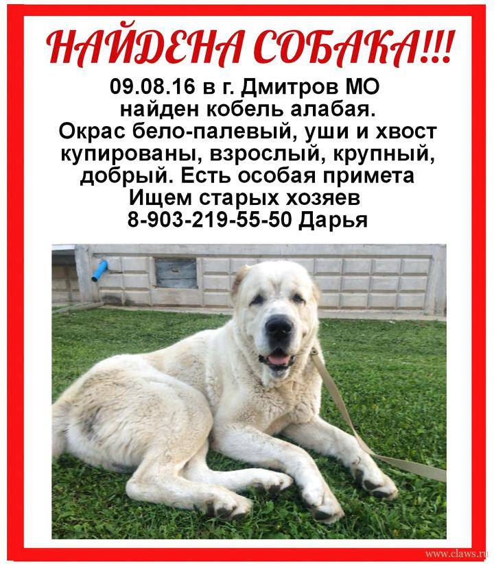 Клички для собак алабай. Клички для собак алабай