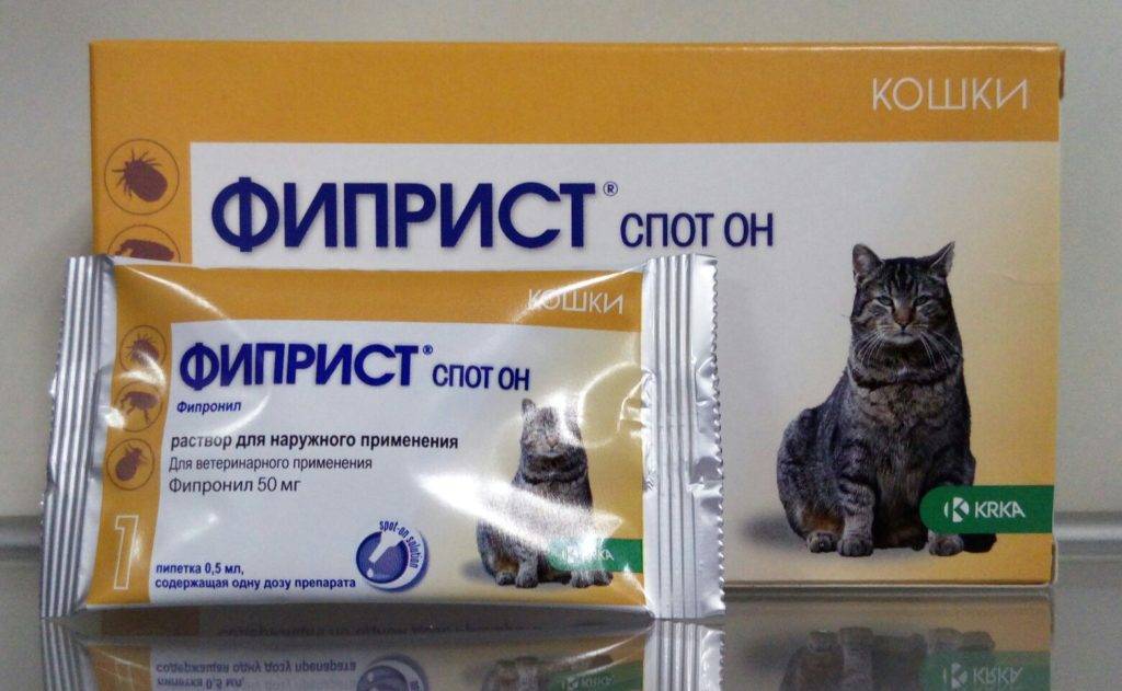 Препарат фиприст для кошек: помощь в борьбе с кровососущими паразитами