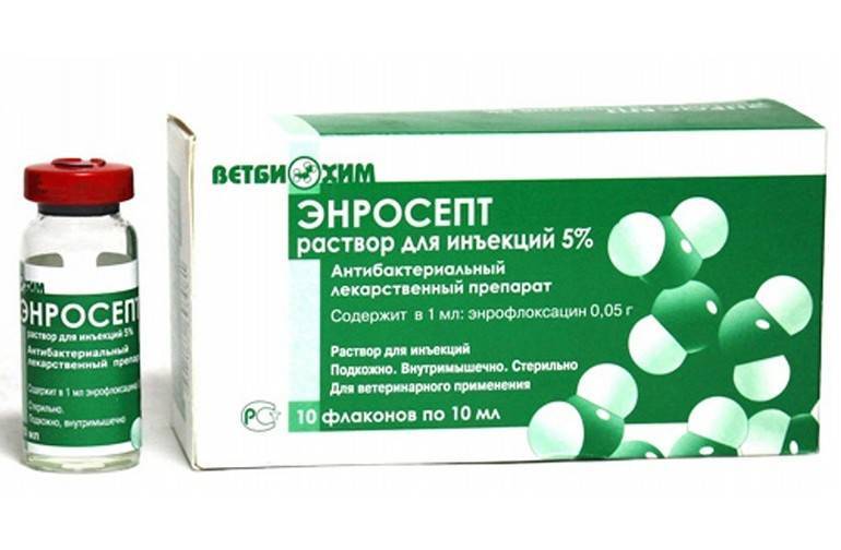 Энросепт для кошек