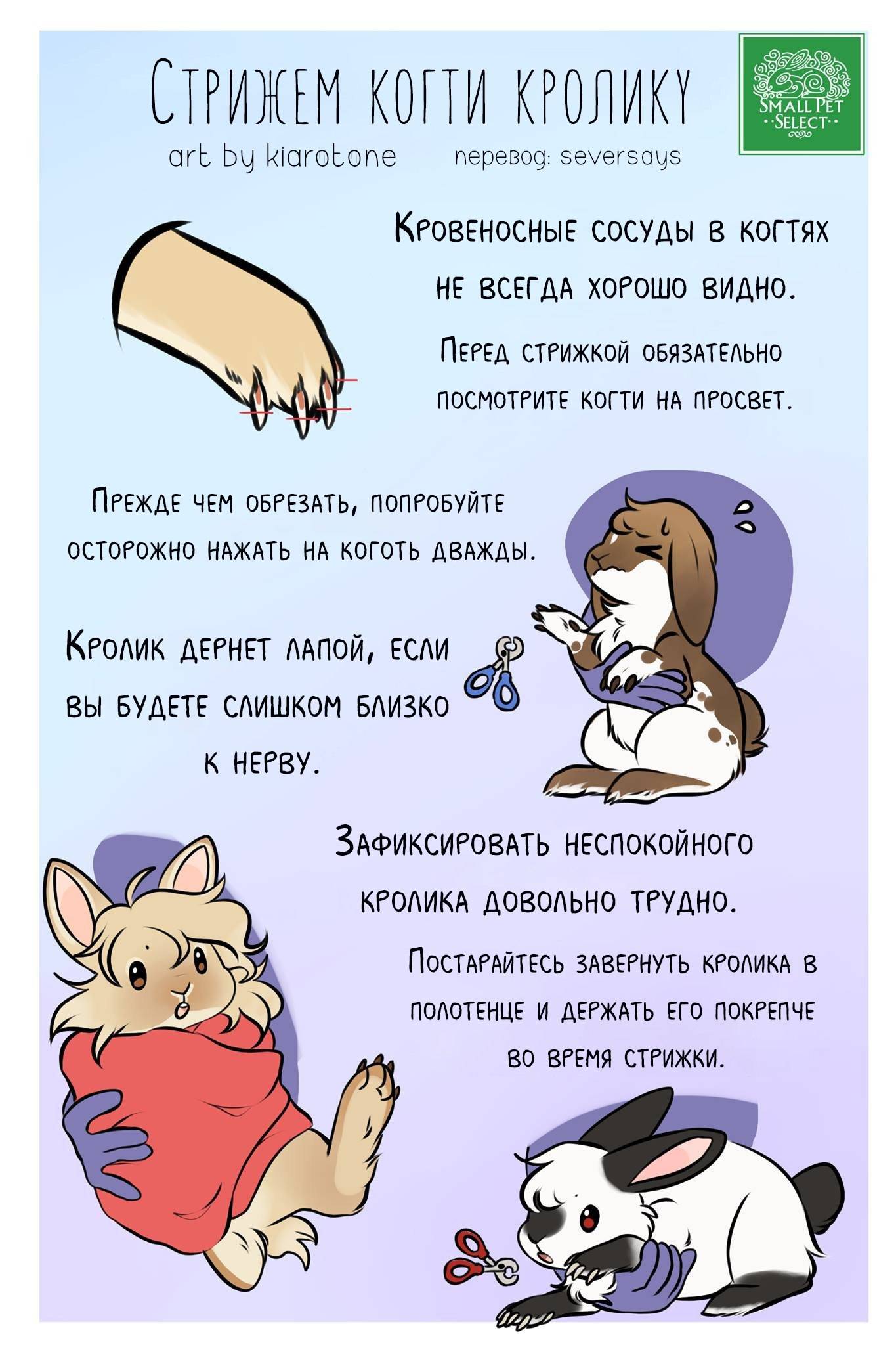 Уход за ногтями — oo "добровольное общество кролиководов"