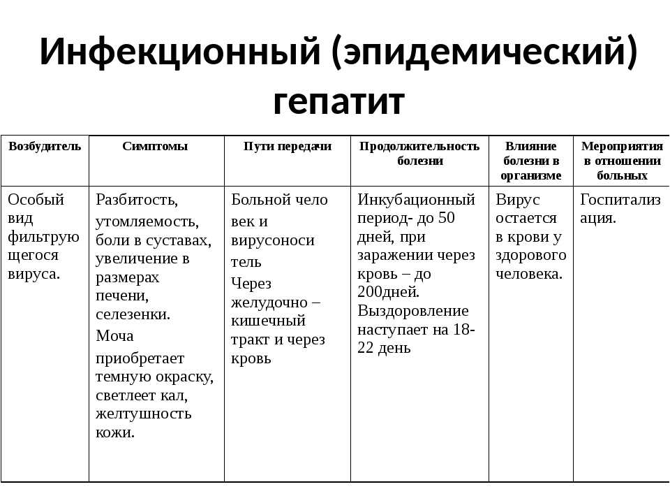 Распространенные болезни хомяков