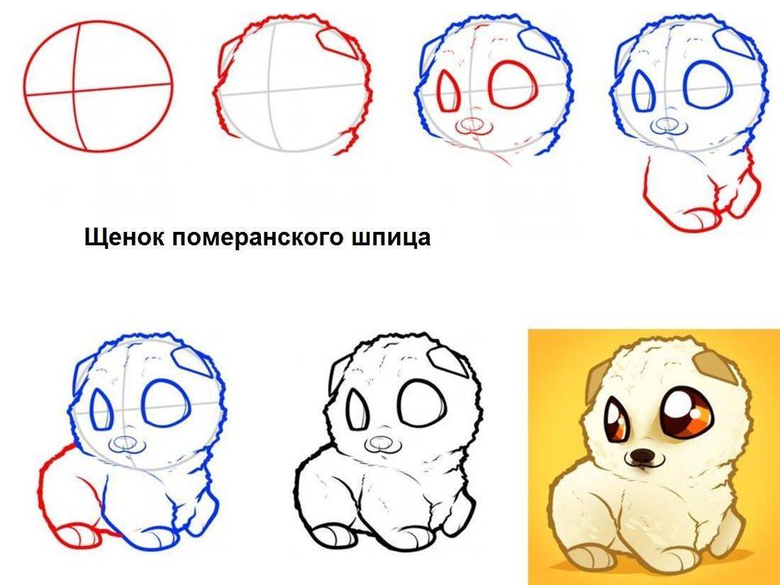 Как нарисовать лёгкий рисунок для начинающих, розу, кошку, собаку, девочку, машину. что можно легко нарисовать для детей