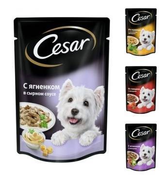 Порода собак из рекламы корма цезарь