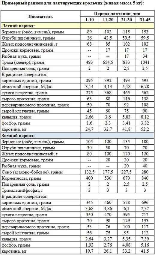 Кормление кроликов