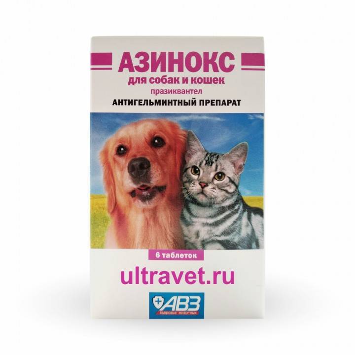 Азинокс от глистов для кошек и собак: инструкция по применению