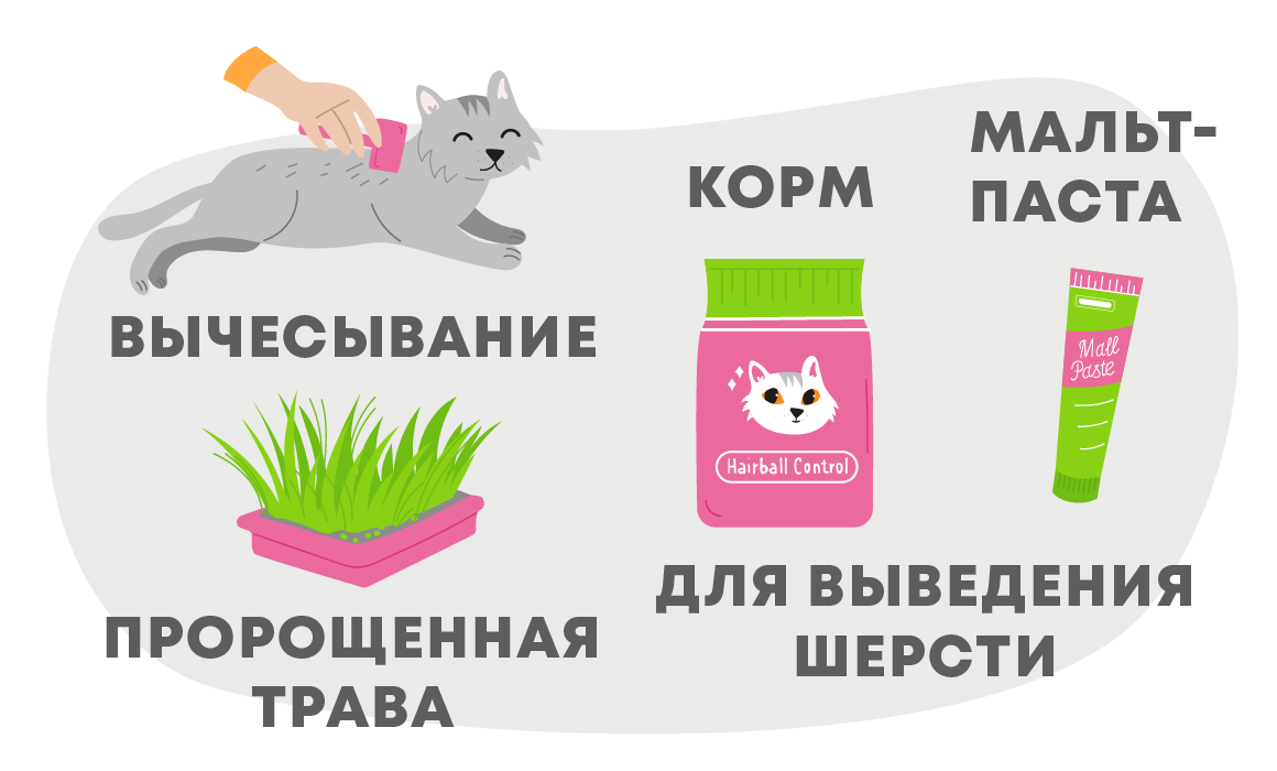 Почему кошка отрыгивает шерсть?