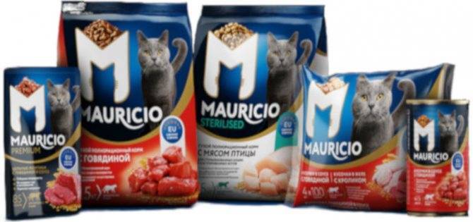 Лучшие корма для стерилизованных кошек обзор сухих и влажных кормов