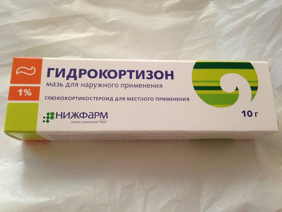 Преднизолон для кошек, инструкция по применению в таблетках и уколах: какова дозировка, куда колоть?