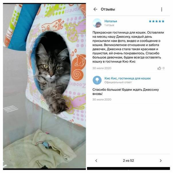 Не просто «кис-кис»: что такое кэтколлинг?