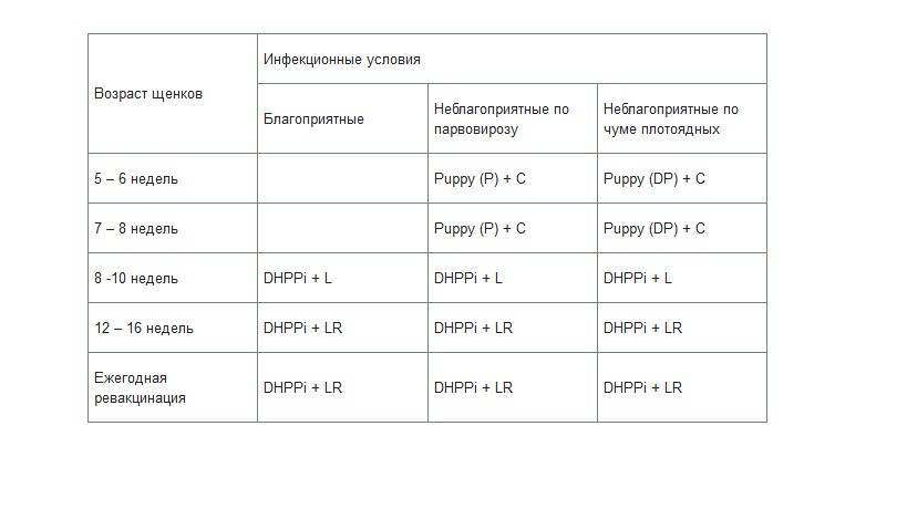 Прививки щенкам. когда делается первая прививка щенку. необходимые прививки щенкам немецкой овчарки :: syl.ru