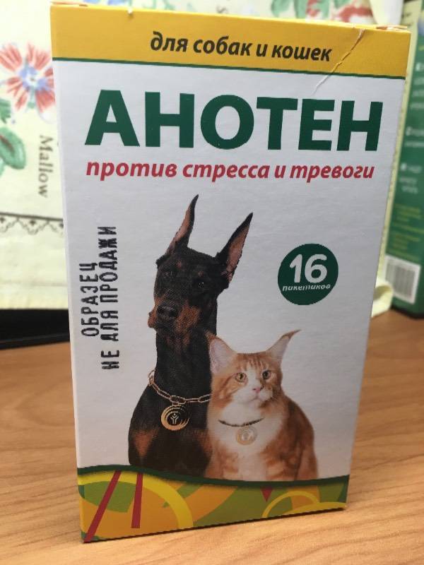 Анотен – успокаивающий препарат для кошек и собак