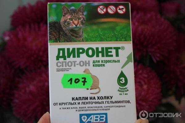 Диронет для кошек - видео инструкция по применению, 95 фото и видео как давать кошкам диронет