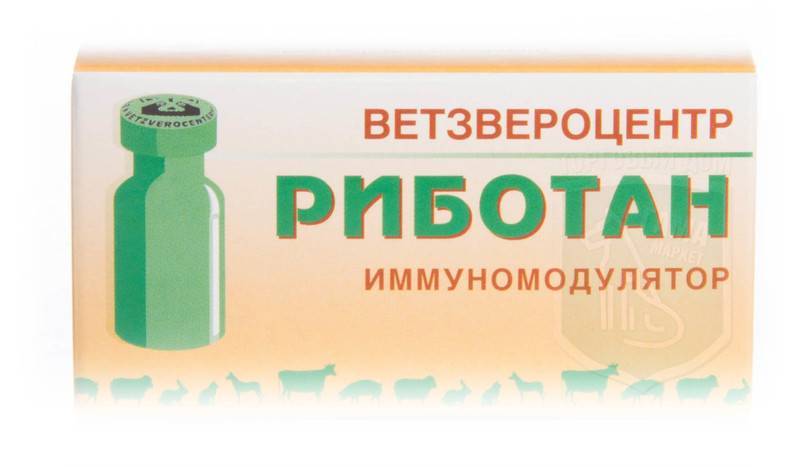 Риботан: описание, состав, форма выпуска, свойства, показания и инструкция по применению, побочные действия