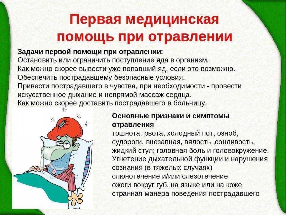 Рвота у кошки после еды - причины и лечение