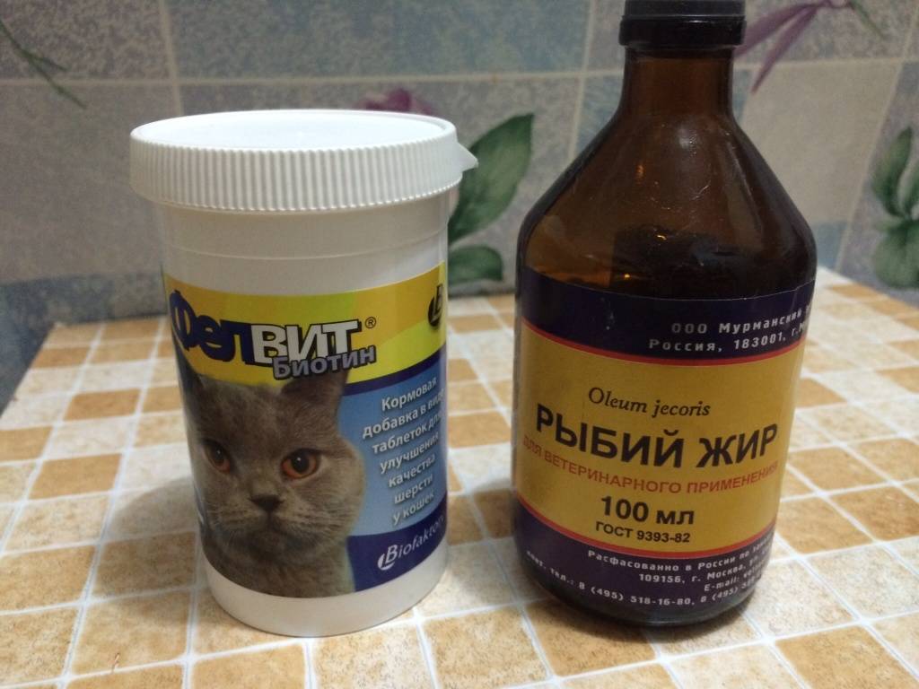 Рыбий жир кошкам — можно ли давать, польза и вред | кот и кошка