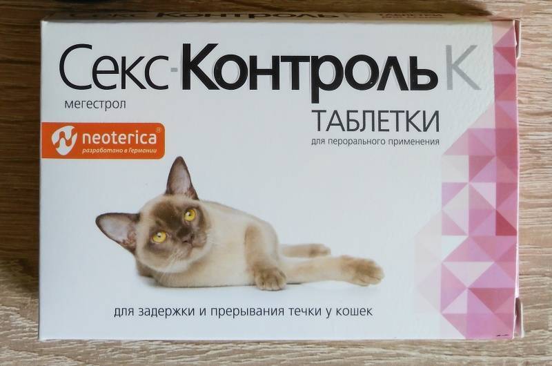 Как успокоить кошку во время течки в домашних условиях?