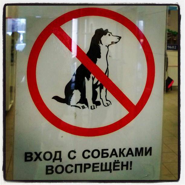 "вход с собакой запрещен": законны ли штрафы в магазинах и кафе?