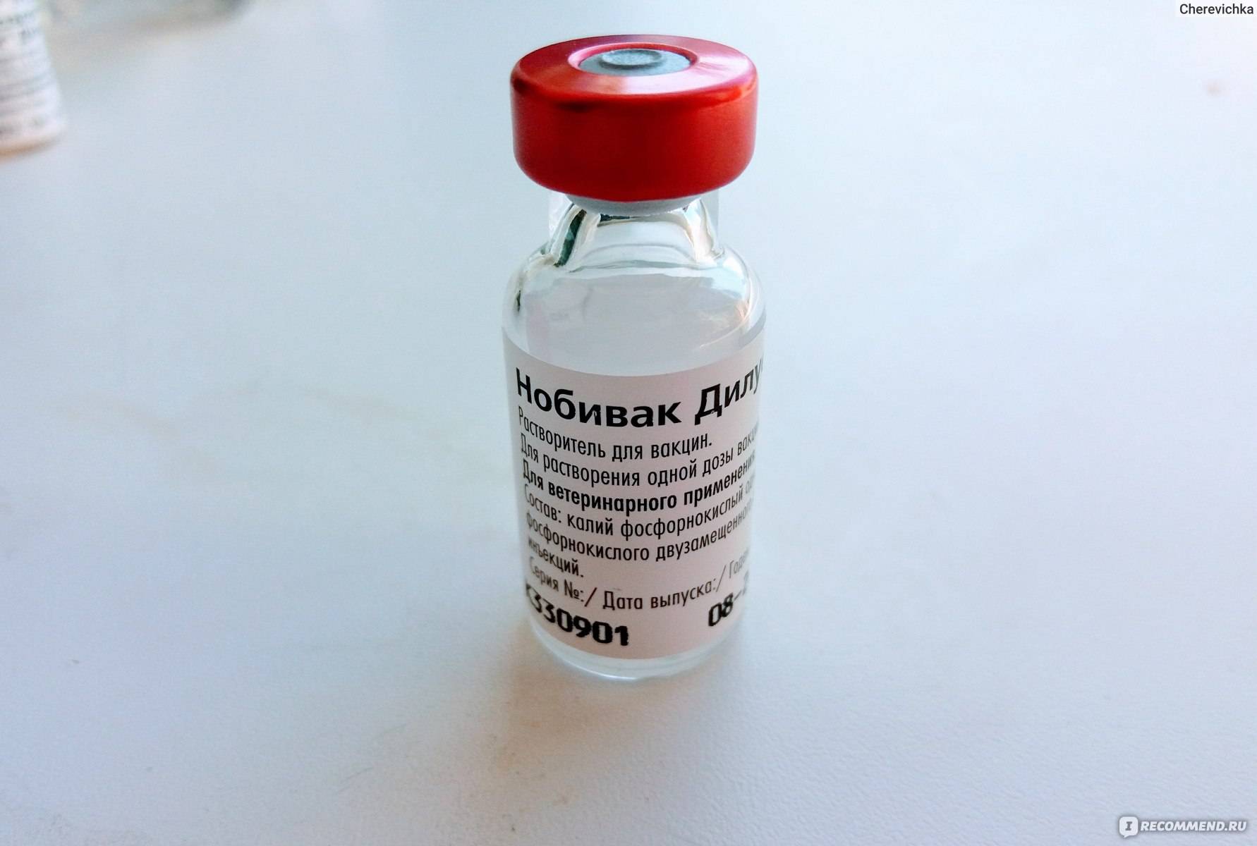 Вакцина для кошек нобивак: инструкция по применению