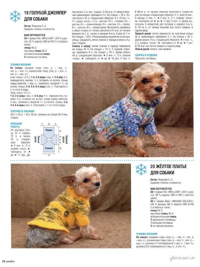 Вязание одежды для той-терьера и других собак мелких пород спицами и крючком: как связать комбинезон или свитер?
