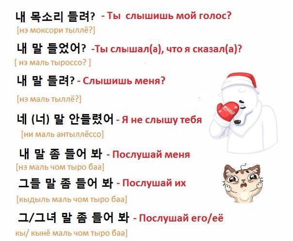 Как назвать котёнка - имена и клички для кошек