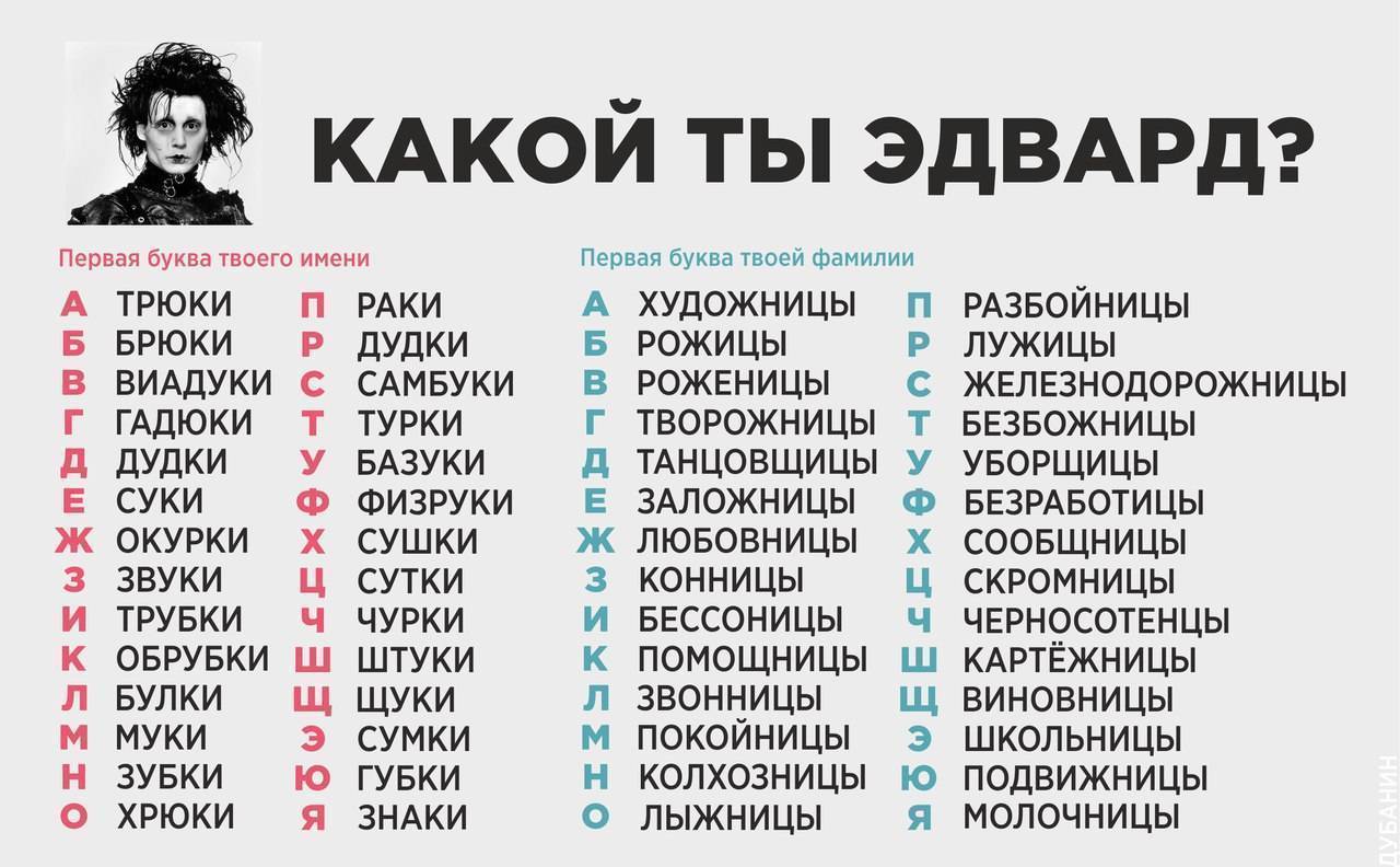 Смешные клички для кошек | веселое имя для кошки