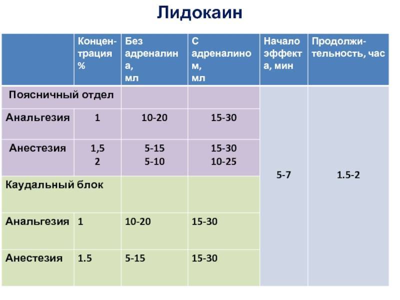 Уколы цефтриаксон для кошек: инструкция по применению и расчёт дозировки