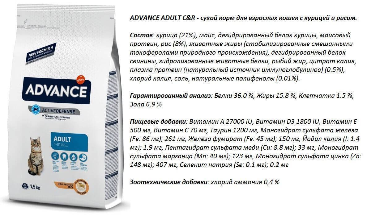 Обзор корма для кошек Advance