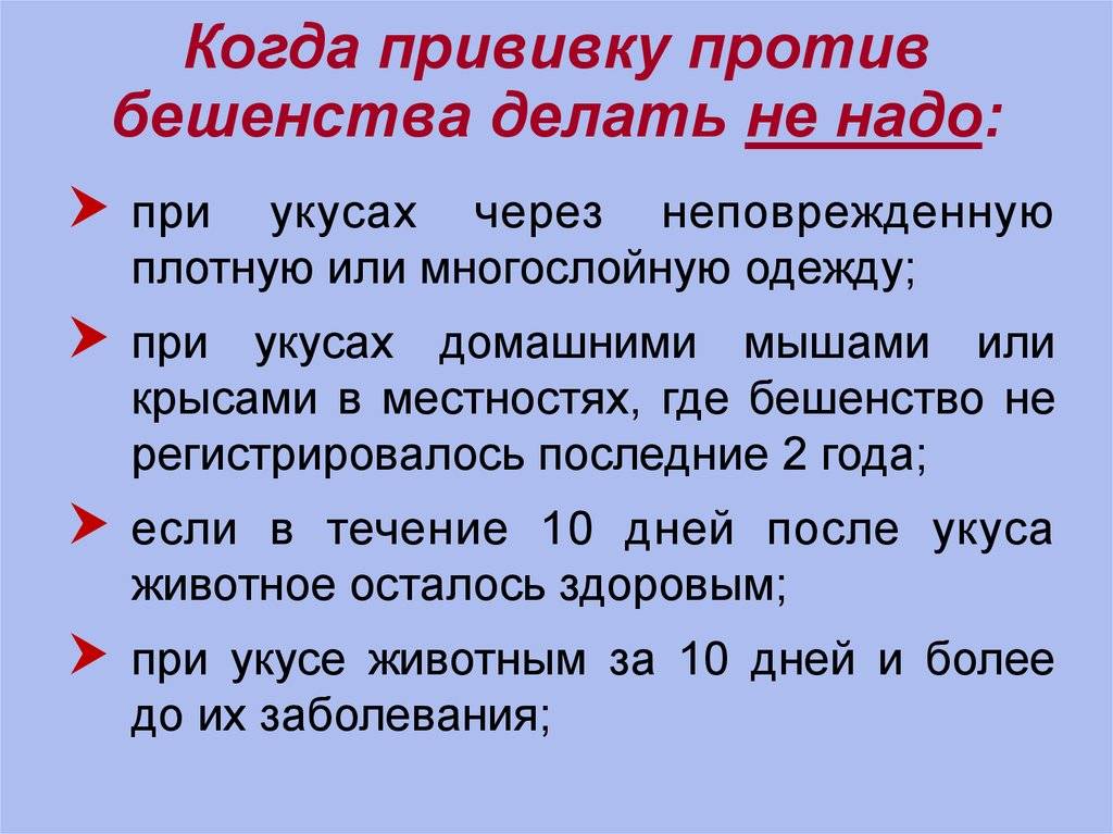 Укол от бешенства кошке: за и против, рейтинг вакцин, правила