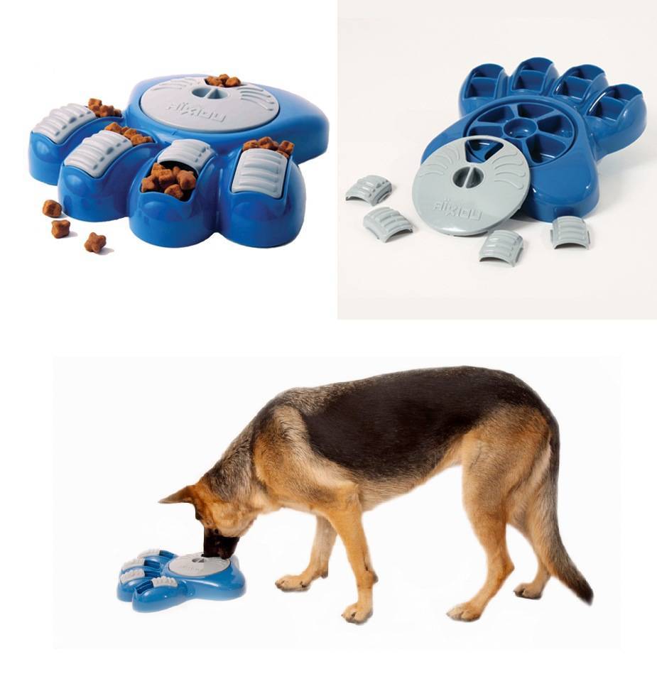 Топ самых неубиваемых игрушек для собак — gavtorg.com