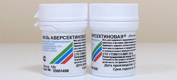 Ушной клещ: профилактика и лечение