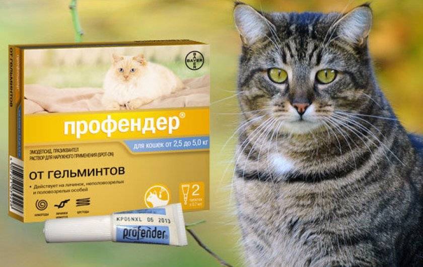 О препарате дирофен таблетки