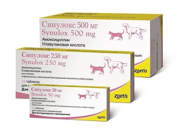 Синулокс для кошек - инструкция по применению, дозировка, способ применения