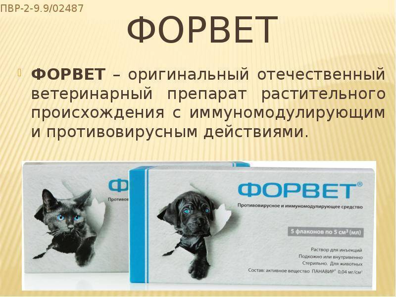 Форвет препарат для животных противовирусный и иммуномодулирующий 5 мл х 5 флаконов раствор для инъекций купить в интернет-магазине по цене от 1 755 руб., доставка по москве