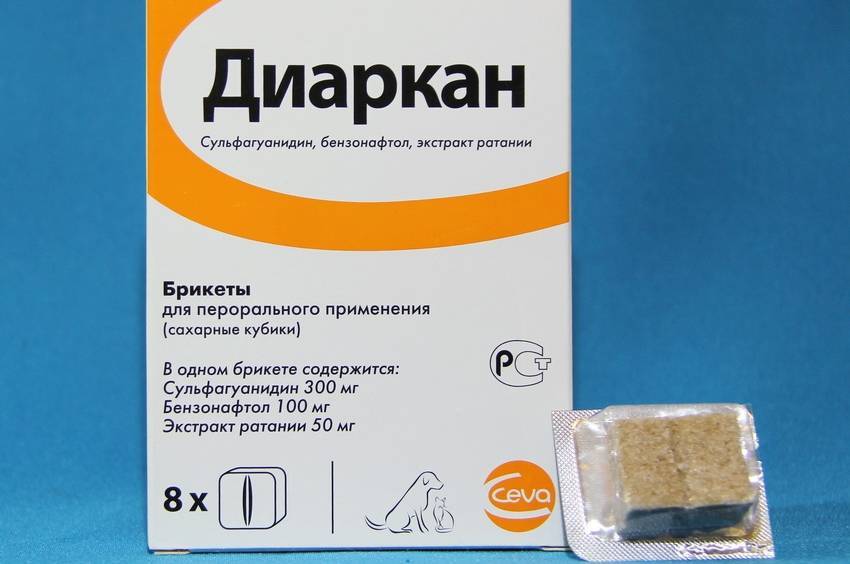 Понос у кошек