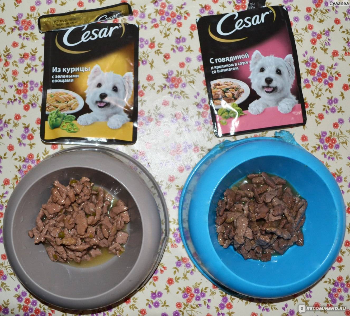 Корм цезарь для собак можно ли кормить