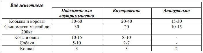 Окситоцин при родах у кошки: характеристики препарата и его действие_ | wwwcat.ru