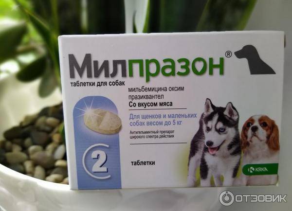 Милпразон антигельминтик для собак таблетки 2x12,5мг/125 мг