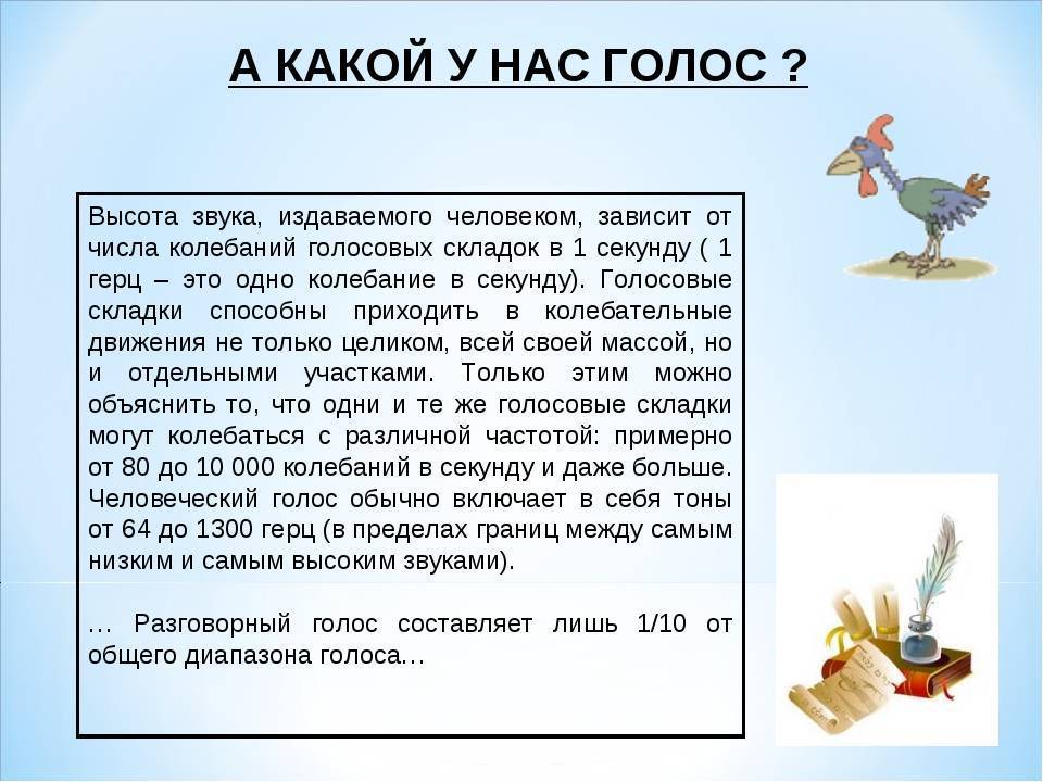 10 самых распространенных звуков кролика — сайт эксперта по животным — howmeow